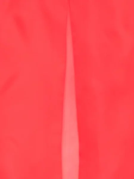 Cămașă Kiton transparente roșu