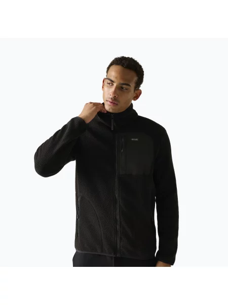 Мъжки поларен суитшърт REGATTA Frankie Borg black/black черно