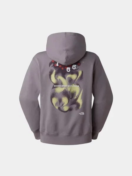 Худи The North Face серое