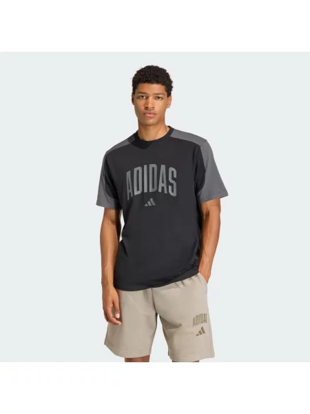 ADIDAS SPORTSWEAR Funkční tričko COLLEGIATE grafitová černá