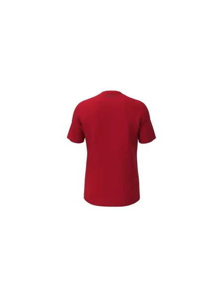 Tricou Head