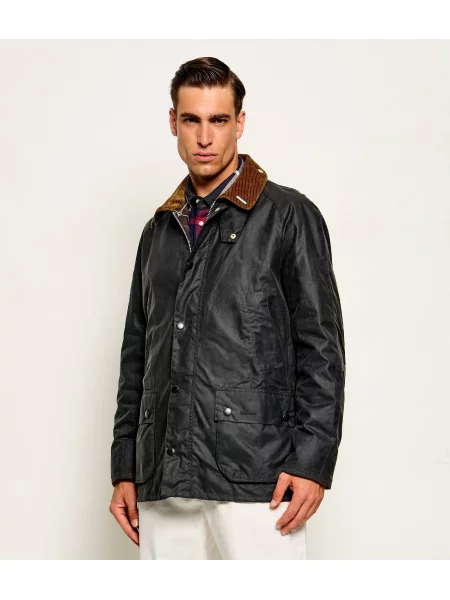Barbour Geacă Icons Ashby | Tailored slim | catifea reiată negru