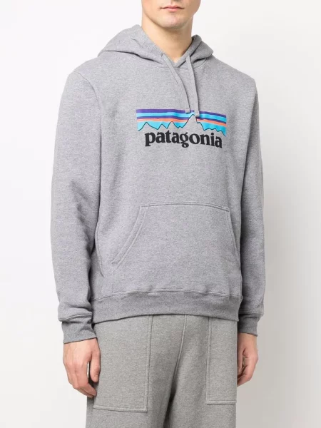 Recyklovaný mikina s kapucí Patagonia s potiskem šedá