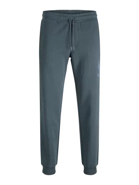 JACK & JONES Pantaloni JPSTGORDON albastru deschis / gri negru