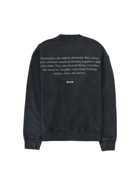 Bluza Msgm szara