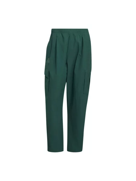 ADIDAS TERREX Pantaloni outdoor închis verde