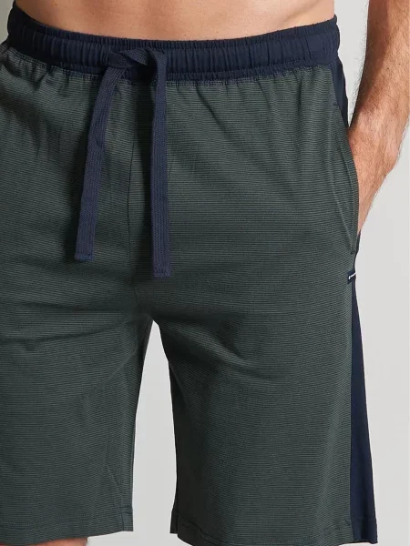 TOM TAILOR Șorturi de baie bleumarin / închis verde