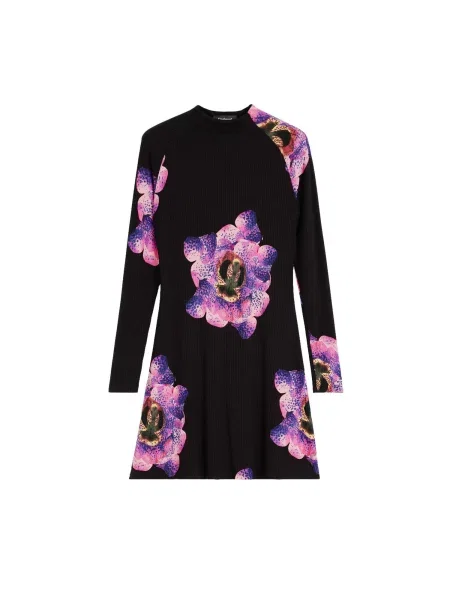 Desigual Rochie negru