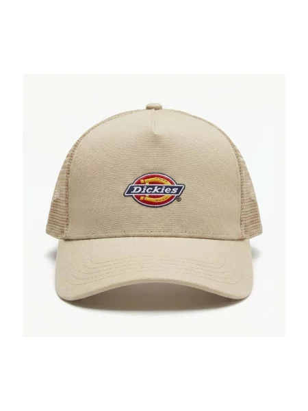 Šilterica Dickies bež