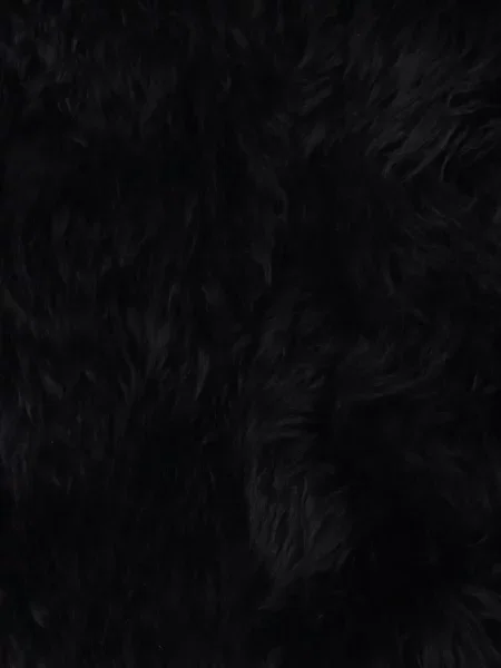 Płaszcz Blancha z kaszmiru czarny