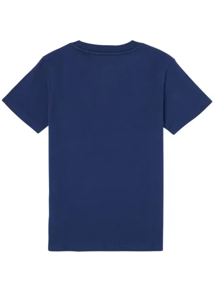Polo Ralph Lauren Majica / crvena plava