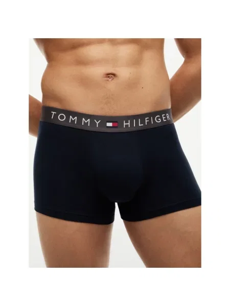 Gaćice Tommy Hilfiger