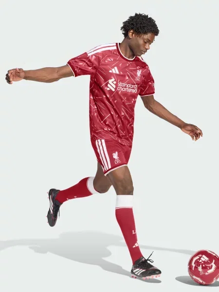 Спортивные шорты Adidas