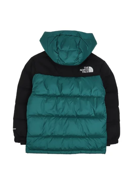 Jakna The North Face zelena