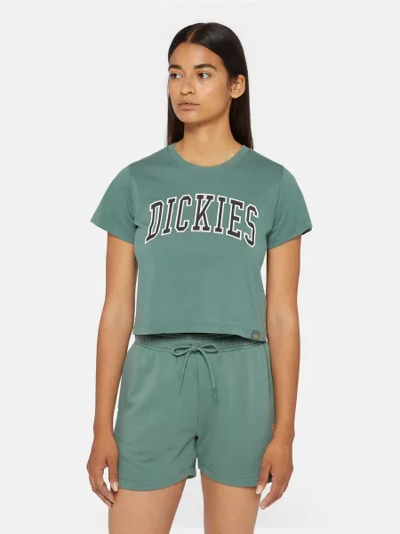 Dickies Aitkin Футболка зелений