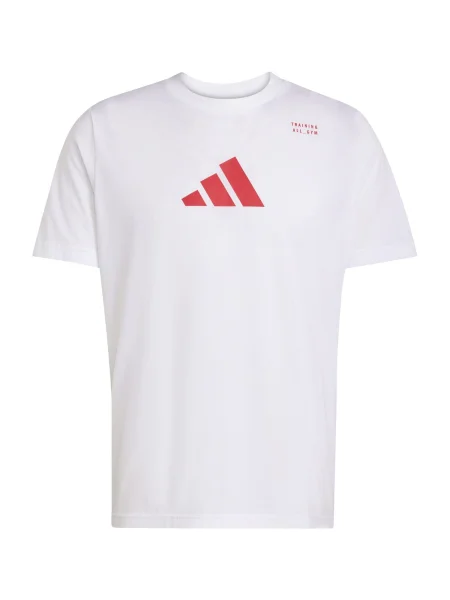 ADIDAS PERFORMANCE Funkcionalna majica CLIMACOOL CATEGORY TRAINING GRAPHIC rdeča bela