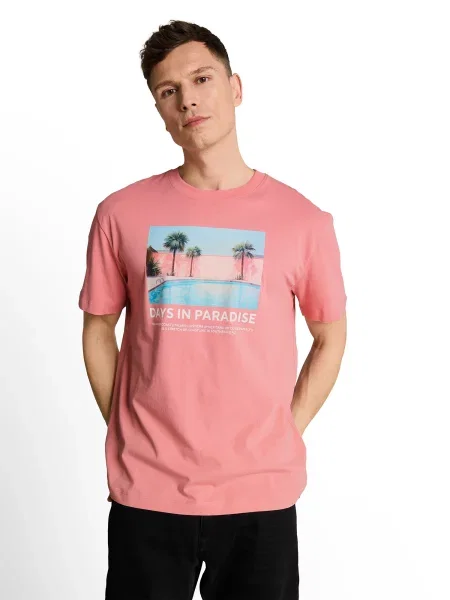 TOM TAILOR DENIM Tričko nebesky modrá / tmavozelená / svetloružová biela