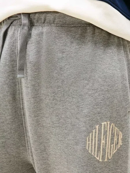 Махрові спортивні штани Tommy Hilfiger сірі
