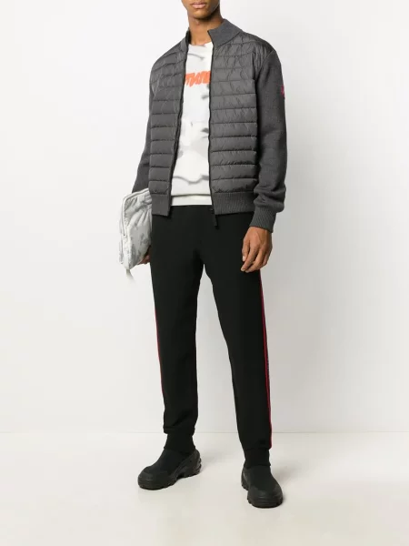 Striukė Canada Goose izoliuoti pilka