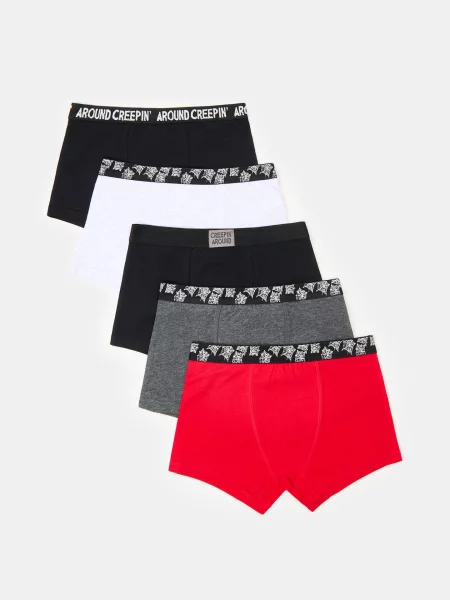 Sinsay boxerky 5 balení vícebarevná