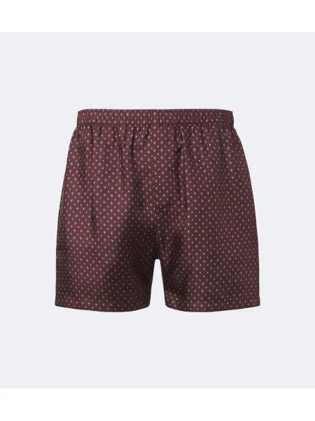 Pantaloni scurți Saint Laurent de mătase cu imagine