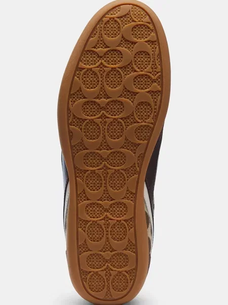 Coach Track Sneaker кросівки