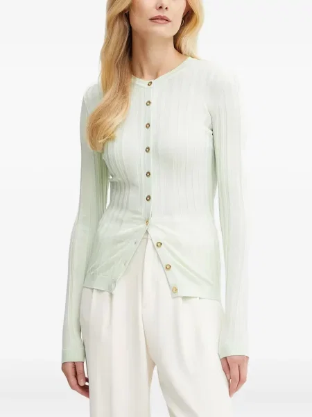 Cardigan Elisabetta Franchi verde