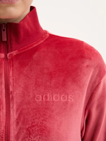 Велюровые костюмные брюки Adidas
