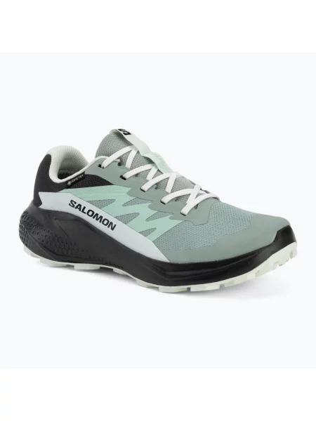 Încălțăminte de alergare pentru femei Salomon Alphaglide GTX green milieu/asphalt verde