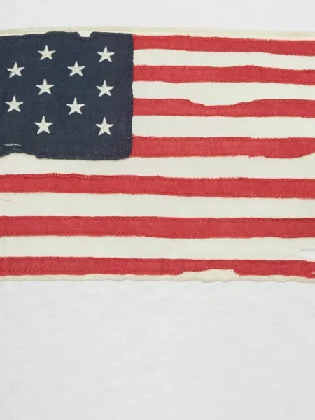 Semišové pruhované tričko Polo Ralph Lauren s potiskem růžové