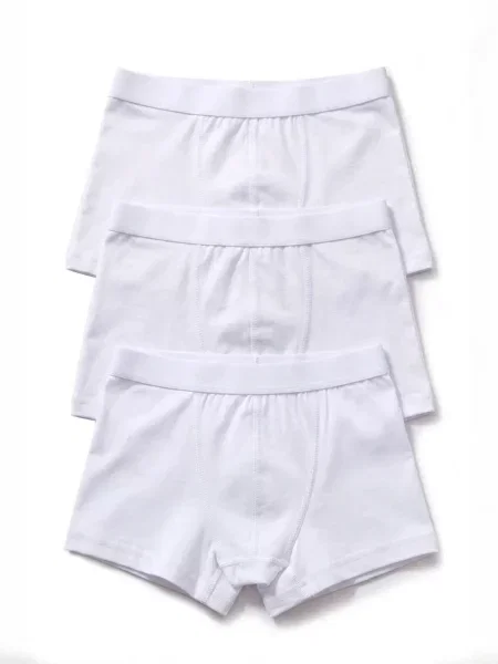 ÖTS Gaće ÖTS Herren Boxerbriefs' bijela