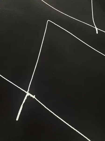 Palton Haculla cu broderie negru