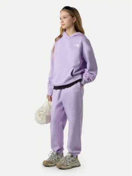 The North Face Sportinės kelnės Essential violetinė