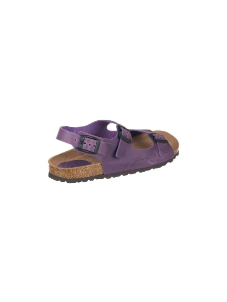 Pantofi Interbios violet