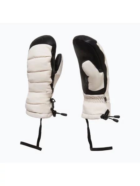 Рукавиці лижні Oakley Wmns Winter Mittens mist