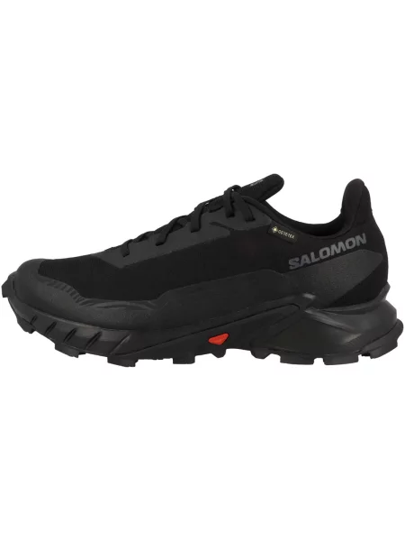 Buty do biegania Salomon Alphacross 5 Gtx czarne