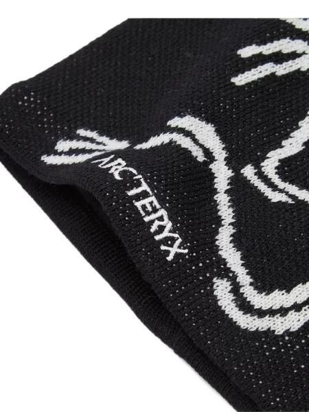 Căciulă Arc'teryx negru