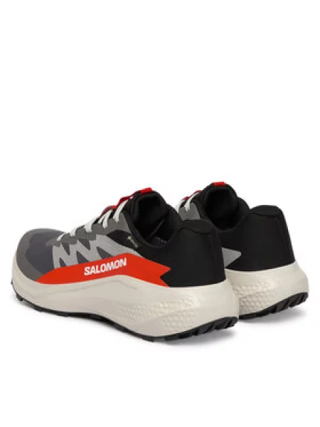 Tenisice za trčanje Salomon Alphaglide Gore-Tex siva
