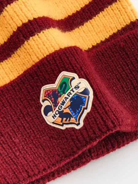 Reserved Зимовий капелюх-біні Harry Potter буряковий 