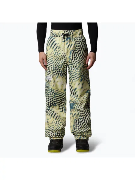 Pantaloni de schi pentru bărbați The North Face Build Up nettle the lift print