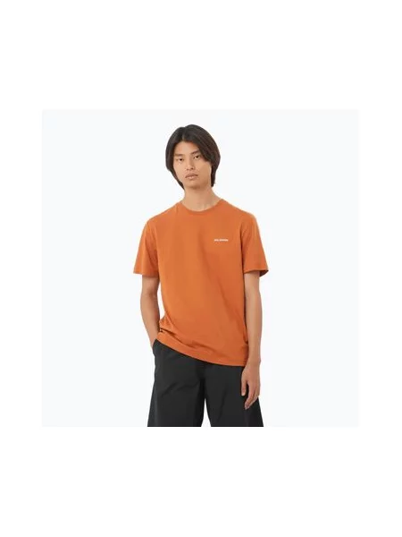 Футболка Salomon Logo Tee sierra