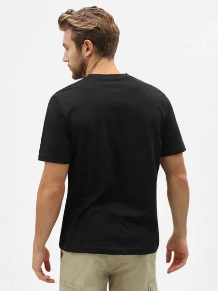 Dickies Набір футболок чорний