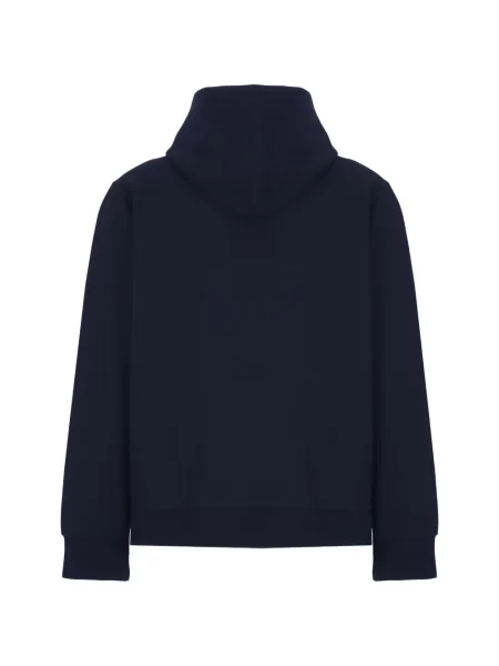 Суичър с качулка Polo Ralph Lauren бродиран с качулка розово