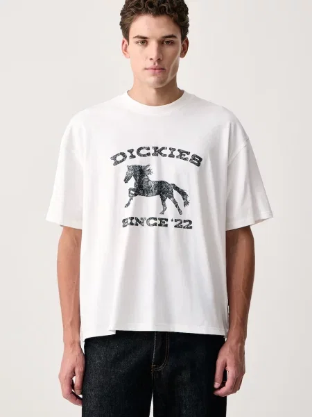 Dickies T-shirt biała