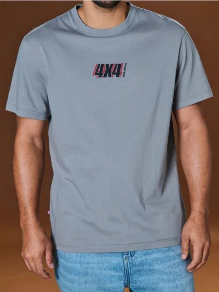 Футболка Sinsay с принтом серая