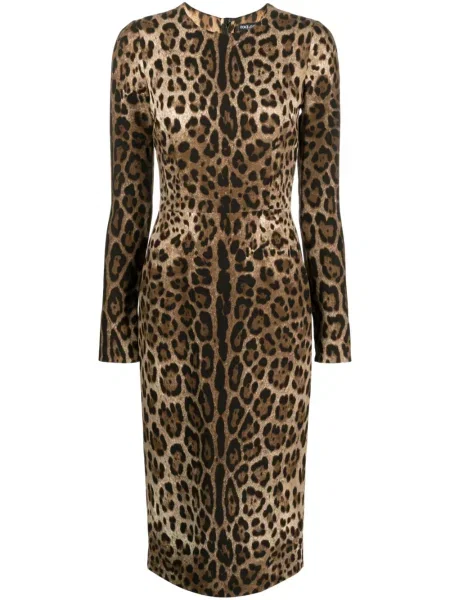 Rochie maxi Dolce & Gabbana cu imagine cu model leopard lungă maro