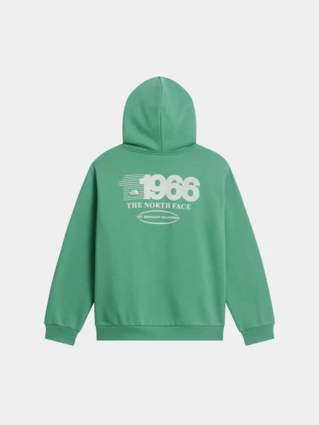 Детское худи The North Face зеленое