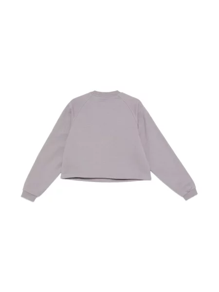 Bluza sportowa The North Face z logo szara