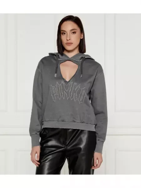 Pinko Hanorac | Cropped Fit argintiu