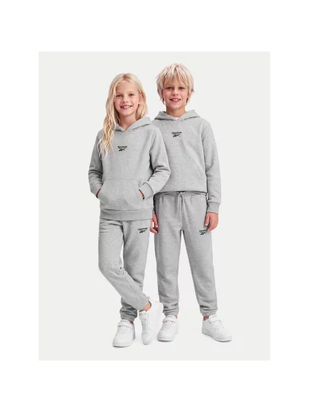 Reebok Sportinis kostiumas Regular Fit pilka